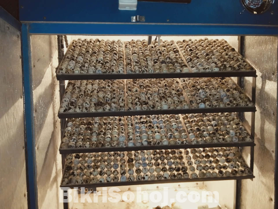 ইনকিউবেটর